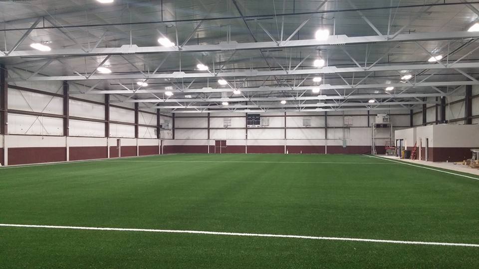 turf